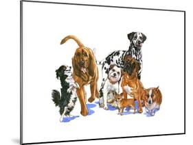 Canine Dogs-Wendy Edelson-Mounted Giclee Print