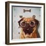 Canine Eye Exam-Lucia Heffernan-Framed Art Print