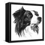 Canine Study I-Ethan Harper-Framed Stretched Canvas