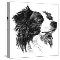 Canine Study I-Ethan Harper-Stretched Canvas