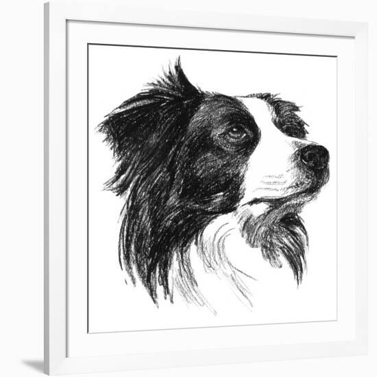 Canine Study I-Ethan Harper-Framed Art Print