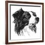 Canine Study I-Ethan Harper-Framed Art Print