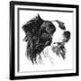 Canine Study I-Ethan Harper-Framed Art Print