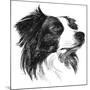 Canine Study I-Ethan Harper-Mounted Art Print