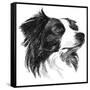 Canine Study I-Ethan Harper-Framed Stretched Canvas