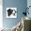 Canine Study I-Ethan Harper-Mounted Art Print displayed on a wall