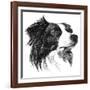 Canine Study I-Ethan Harper-Framed Art Print