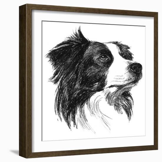 Canine Study I-Ethan Harper-Framed Art Print