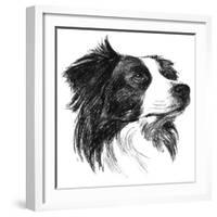 Canine Study I-Ethan Harper-Framed Art Print