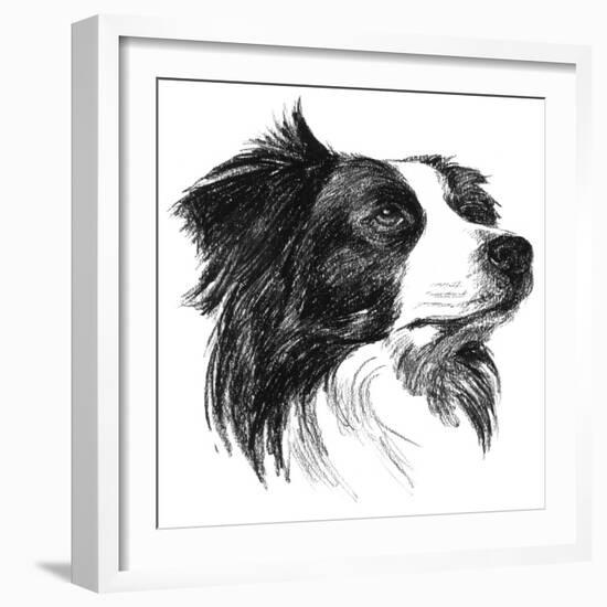 Canine Study I-Ethan Harper-Framed Art Print