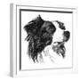 Canine Study I-Ethan Harper-Framed Art Print