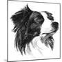 Canine Study I-Ethan Harper-Mounted Art Print