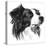 Canine Study I-Ethan Harper-Stretched Canvas