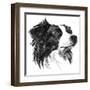 Canine Study I-Ethan Harper-Framed Art Print