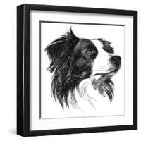 Canine Study I-Ethan Harper-Framed Art Print