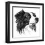 Canine Study I-Ethan Harper-Framed Art Print