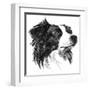 Canine Study I-Ethan Harper-Framed Art Print