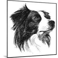 Canine Study I-Ethan Harper-Mounted Art Print