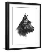 Canine Study II-Ethan Harper-Framed Art Print