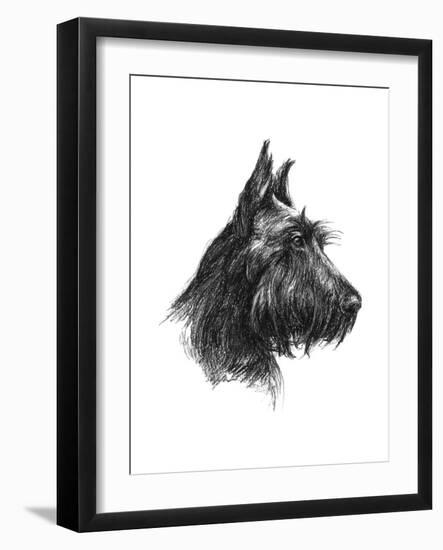 Canine Study II-Ethan Harper-Framed Art Print