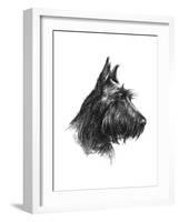 Canine Study II-Ethan Harper-Framed Art Print