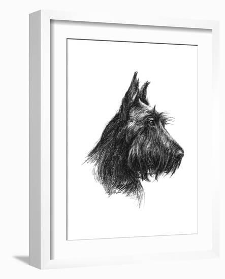 Canine Study II-Ethan Harper-Framed Art Print