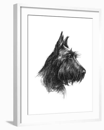 Canine Study II-Ethan Harper-Framed Art Print