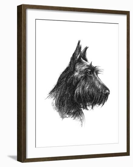 Canine Study II-Ethan Harper-Framed Art Print