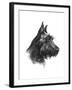 Canine Study II-Ethan Harper-Framed Art Print