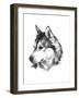 Canine Study III-Ethan Harper-Framed Art Print