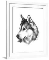 Canine Study III-Ethan Harper-Framed Art Print