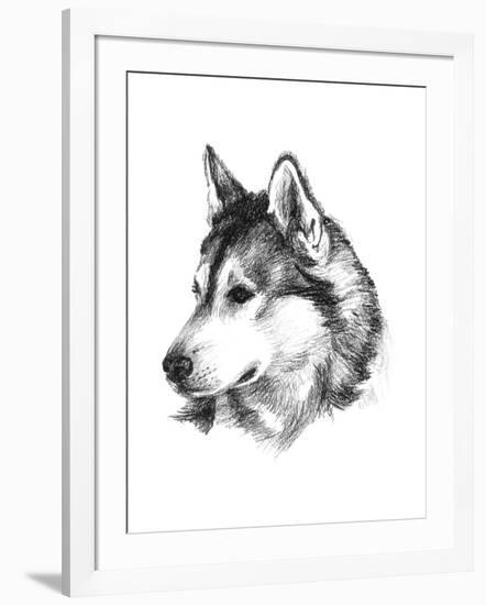 Canine Study III-Ethan Harper-Framed Art Print