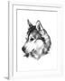 Canine Study III-Ethan Harper-Framed Art Print