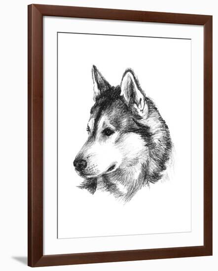Canine Study III-Ethan Harper-Framed Art Print