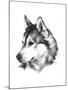 Canine Study III-Ethan Harper-Mounted Art Print