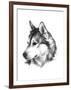 Canine Study III-Ethan Harper-Framed Art Print