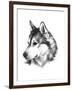 Canine Study III-Ethan Harper-Framed Art Print