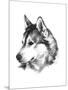 Canine Study III-Ethan Harper-Mounted Art Print