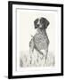 Canine - Watch-Hilary Armstrong-Framed Limited Edition