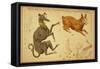 Canis Major and Lepus Constellations, 1825-Science Source-Framed Stretched Canvas