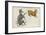 Canis Major (Dog) and Lepus (Hare) Constellation-Sidney Hall-Framed Photographic Print