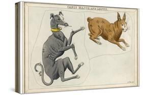 Canis Major (Dog) and Lepus (Hare) Constellation-Sidney Hall-Stretched Canvas