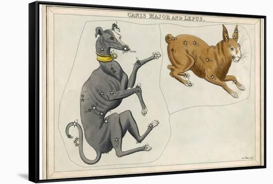 Canis Major (Dog) and Lepus (Hare) Constellation-Sidney Hall-Framed Stretched Canvas