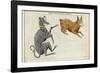 Canis Major (Dog) and Lepus (Hare) Constellation-Sidney Hall-Framed Photographic Print