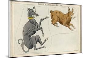 Canis Major (Dog) and Lepus (Hare) Constellation-Sidney Hall-Mounted Photographic Print