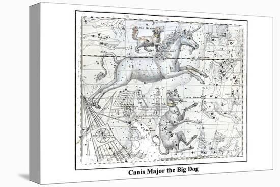 Canis Major the Big Dog-Alexander Jamieson-Stretched Canvas