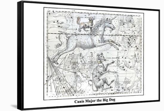Canis Major the Big Dog-Alexander Jamieson-Framed Stretched Canvas