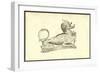 Canis Monstroso Capite-Ulisse Aldrovandi-Framed Art Print