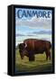 Canmore, Alberta, Canada - Solo Bison-Lantern Press-Framed Stretched Canvas