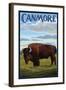Canmore, Alberta, Canada - Solo Bison-Lantern Press-Framed Art Print